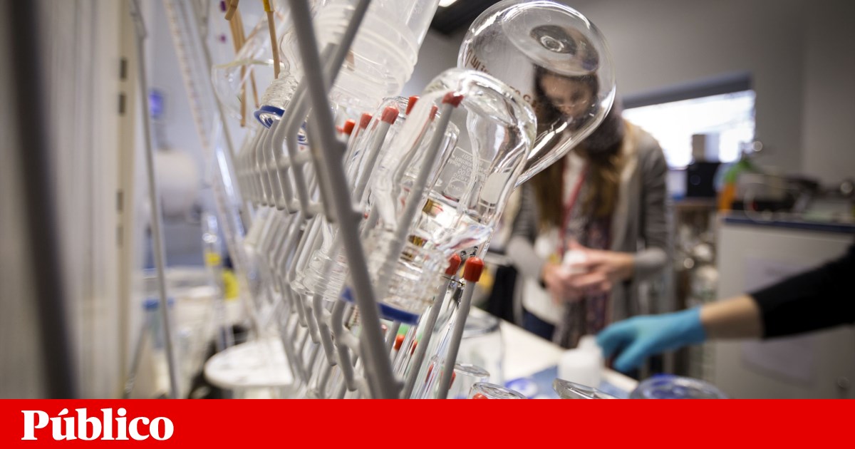 Dos científicos portugueses más elegidos para miembros de EMBO |  Biología Molecular Dos científicos portugueses más elegidos para miembros de EMBO |  Biología Molecular