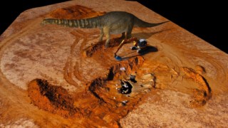 Espécie desconhecida de dinossauro gigante é descoberta na Austrália - SWI