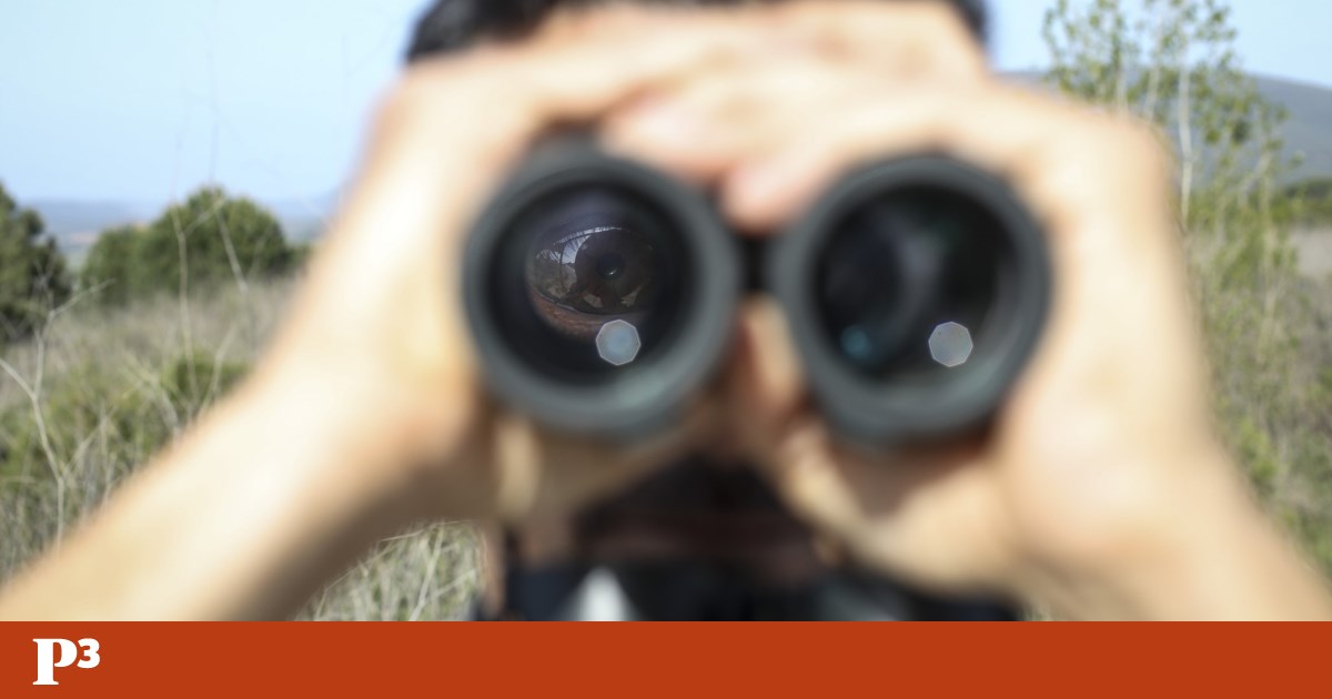 La scienza decide, se lo lasciano |  Altoparlante La scienza decide, se lo lasciano |  Altoparlante