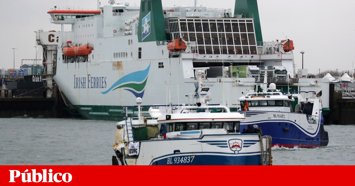 Shipping directly from Ireland to the EU will increase by 50% in six months | Europe Shipping directly from Ireland to the EU will increase by 50% in six months | Europe