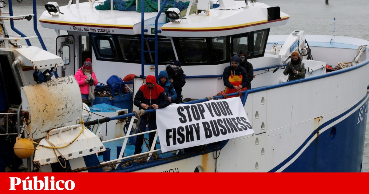 Le Royaume-Uni délivre de nouvelles licences de pêche aux bateaux français |  Brexit
