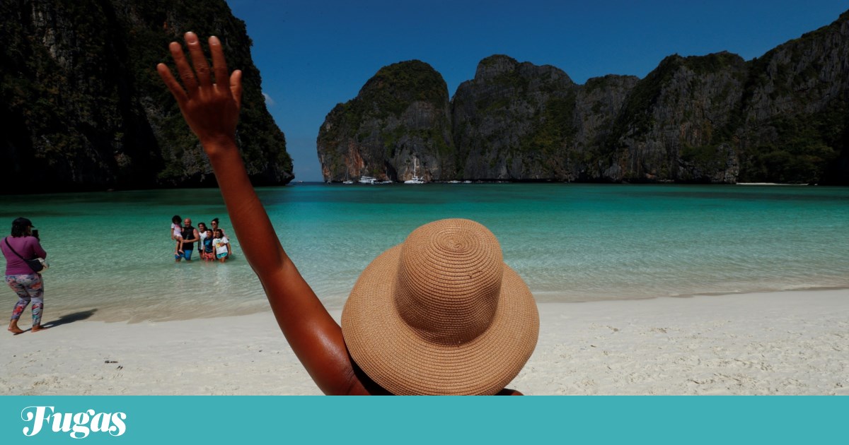 Casi cuatro años después de la prohibición, Tailandia reabre ‘The Beach’ |  Turismo Casi cuatro años después de la prohibición, Tailandia reabre ‘The Beach’ |  Turismo
