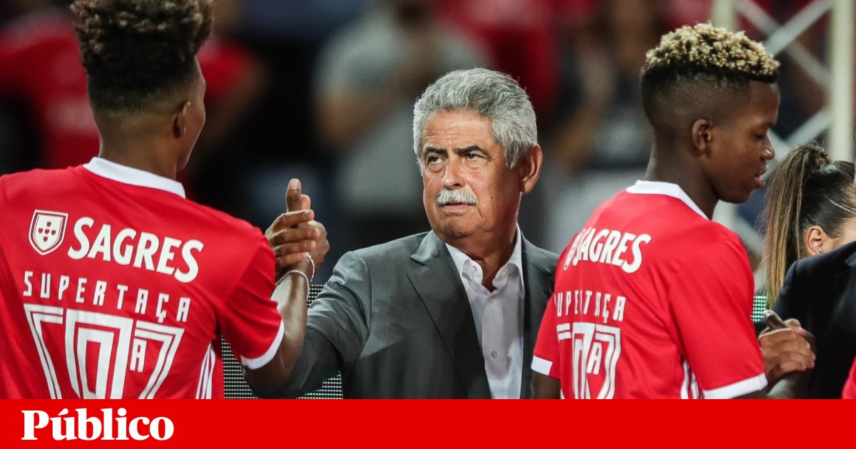 Luís Filipe Vieira aurait reçu des millions en 55 transferts de Benfica |  football national