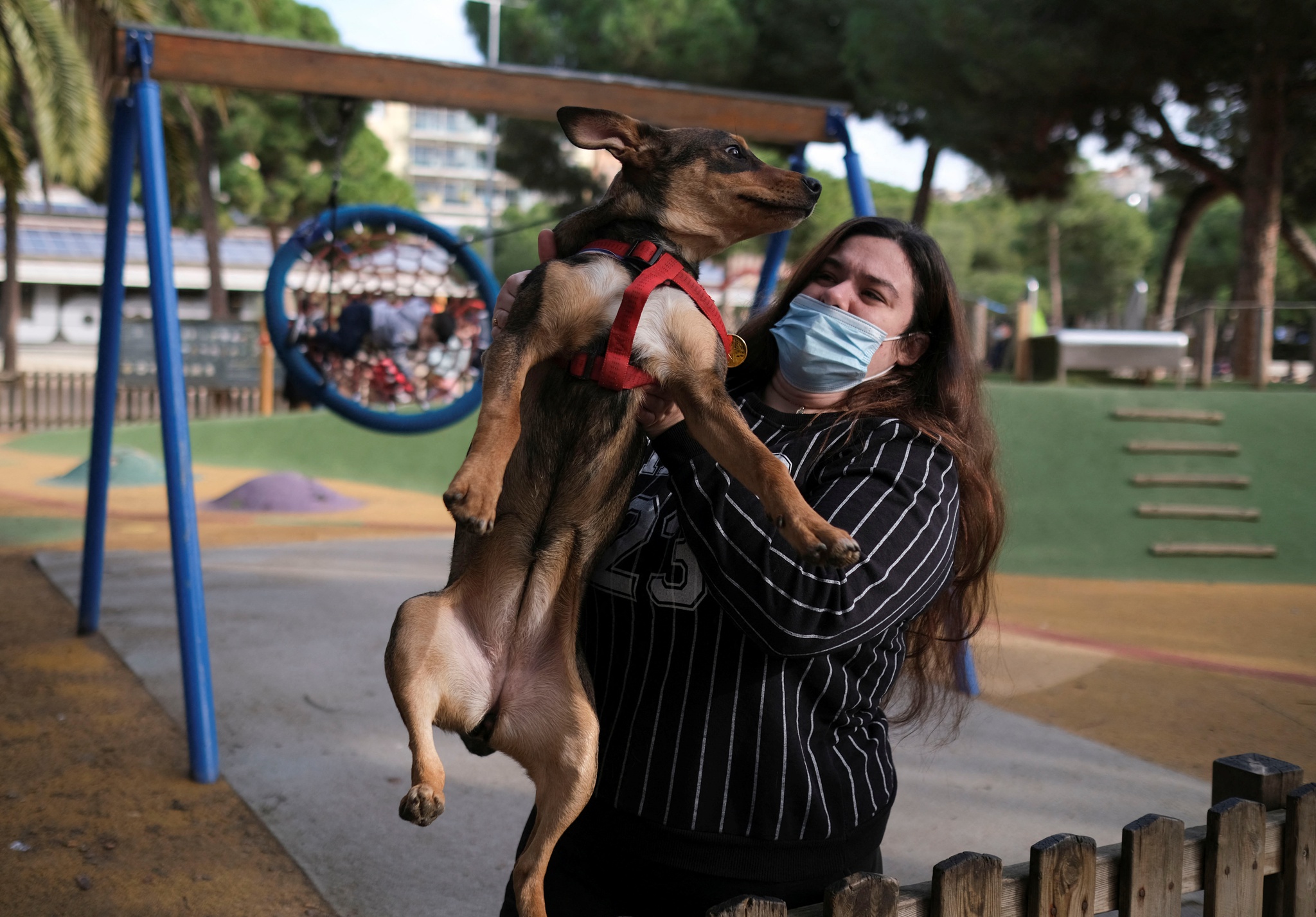 En Espagne, le bien-être animal sera même pris en compte dans les divorces |  animaux