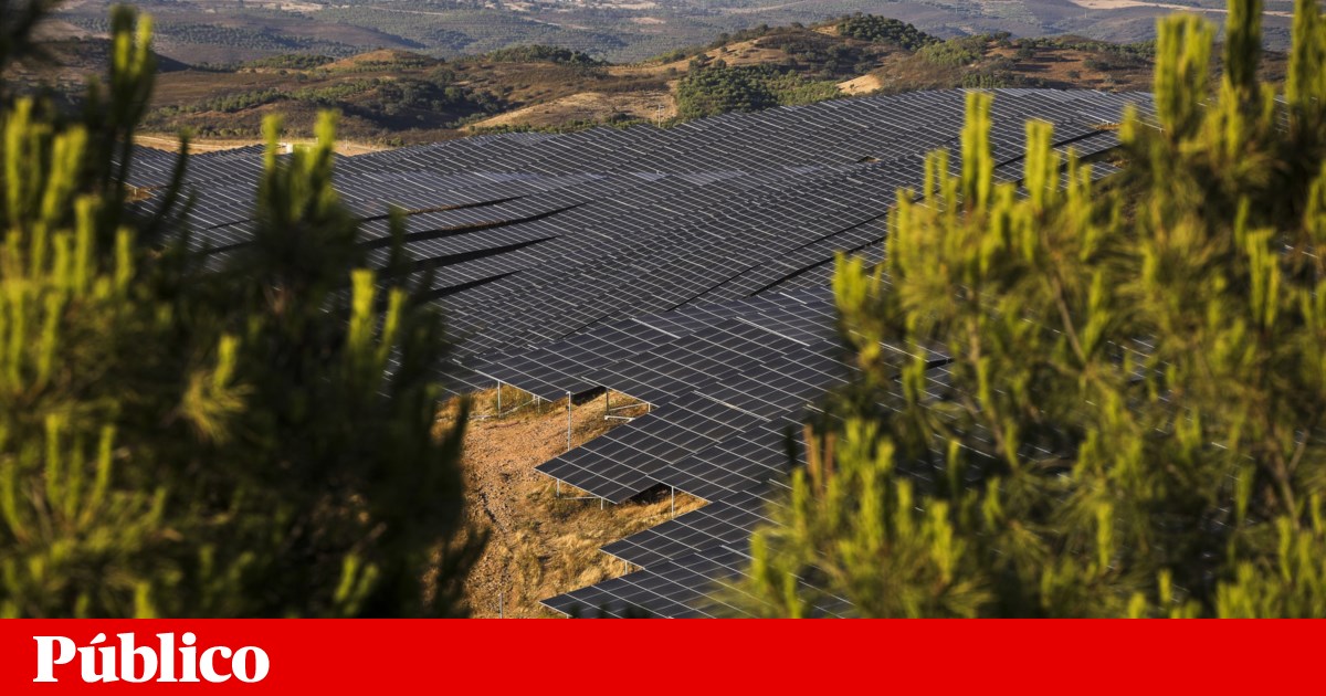 DGEG extends suspension of new applications for electricity production licenses | energy DGEG extends suspension of new applications for electricity production licenses | energy