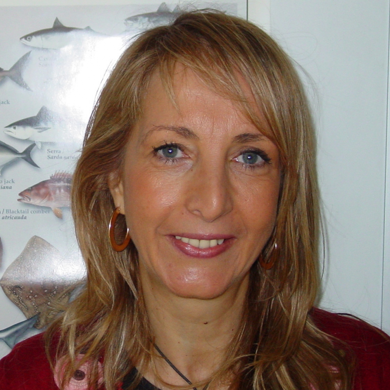 Narcisa Bandarra 