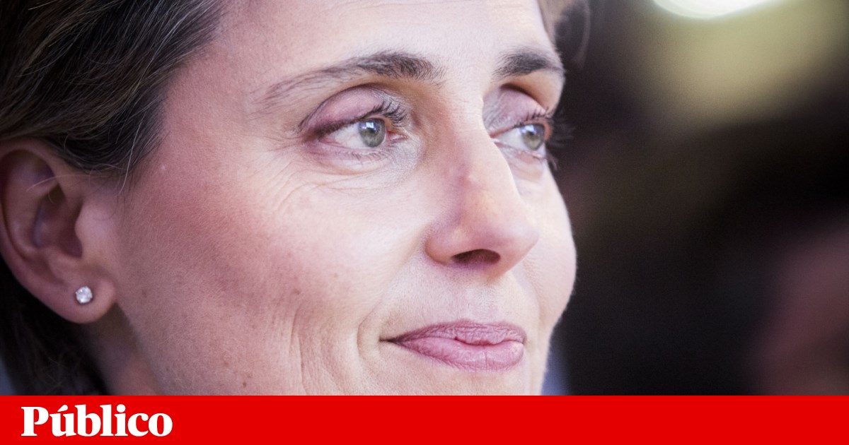 Sonae becomes more managing director and changes name of some companies | comp Sonae becomes more managing director and changes name of some companies | comp