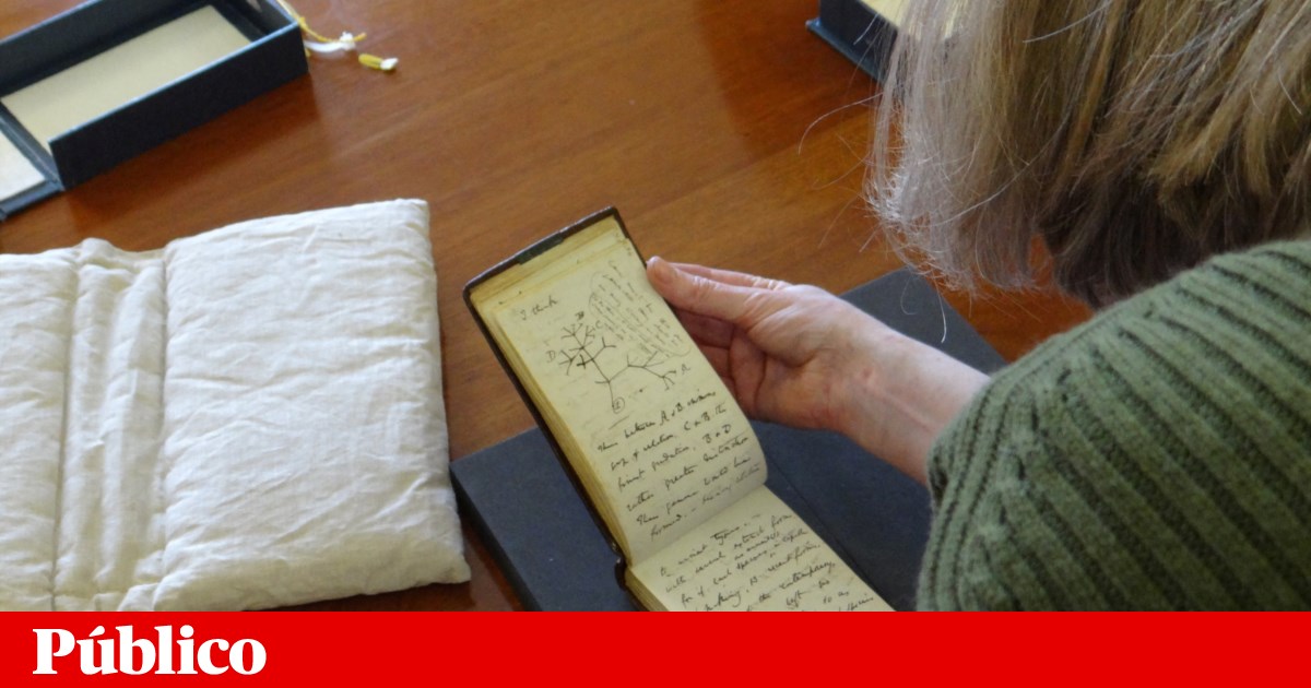 “Librarian Happy Easter”: Darwin’s Lost Notebooks Reappear | United Kingdom “Librarian Happy Easter”: Darwin’s Lost Notebooks Reappear | United Kingdom
