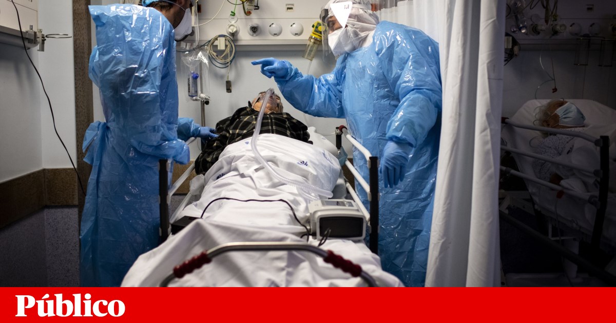 “We have to be prepared for new epidemics” | Climate and health crisis “We have to be prepared for new epidemics” | Climate and health crisis