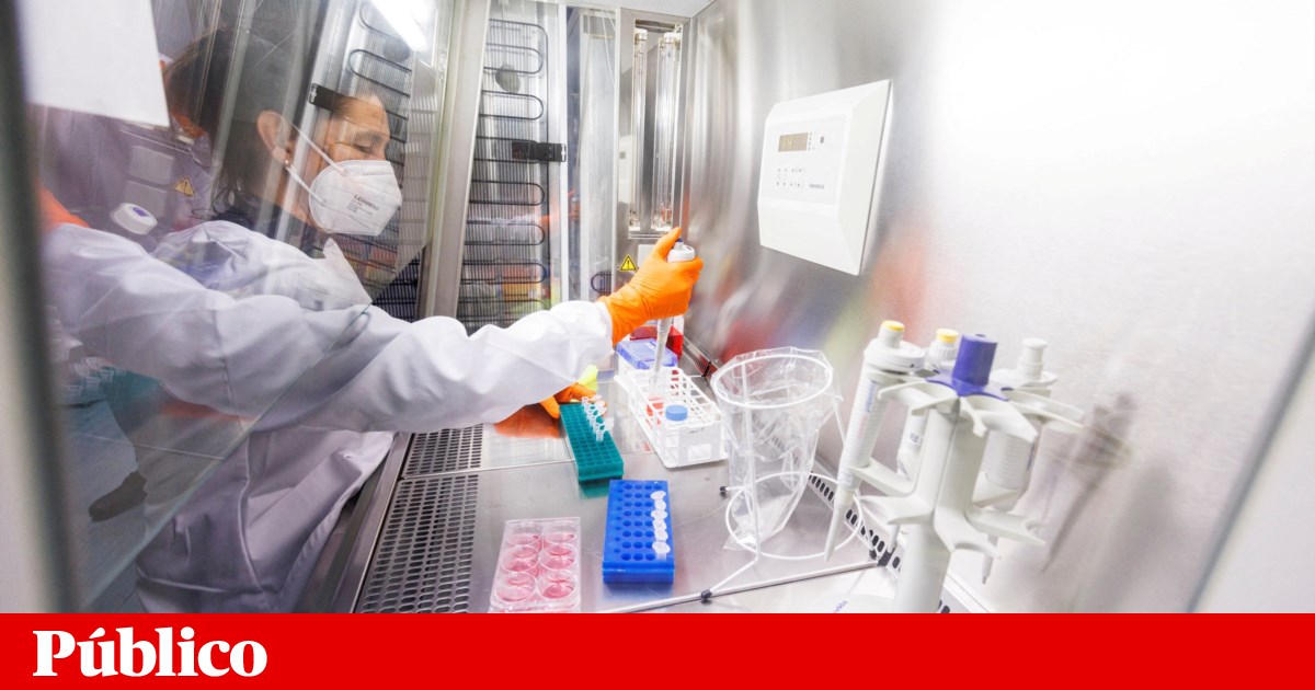 Le Portugal confirme deux autres cas de variole du singe : 39 personnes sont infectées |  variole du singe
