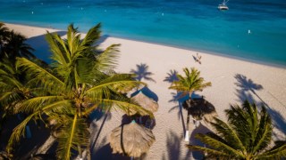 Palm Beach Aruba Caribbean, white long sandy beach with palm trees at Aruba Antilles 