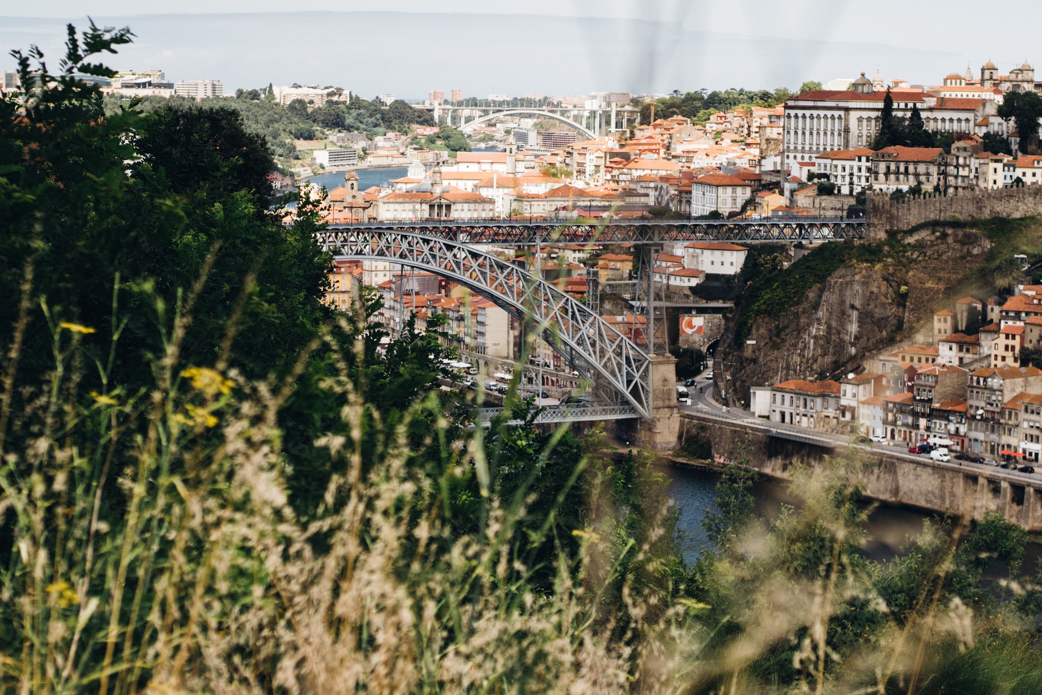 Instituto Geofísico de Porto albergará Jardín Bosque da Humanidade |  Ambiente