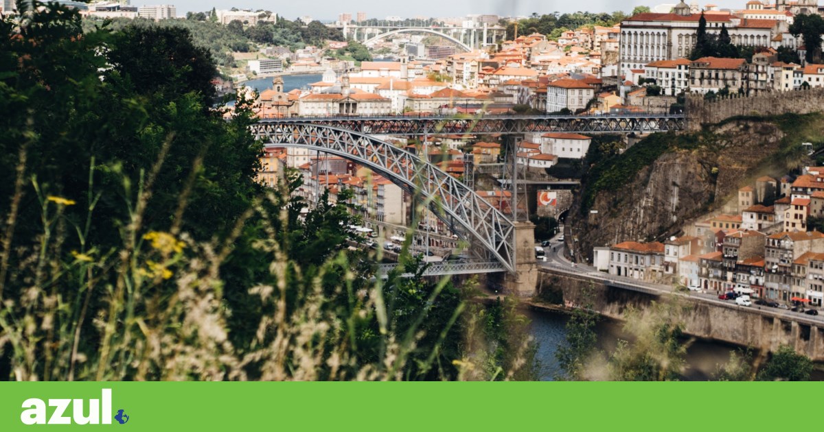 Instituto Geofísico de Porto albergará Jardín Bosque da Humanidade |  Ambiente