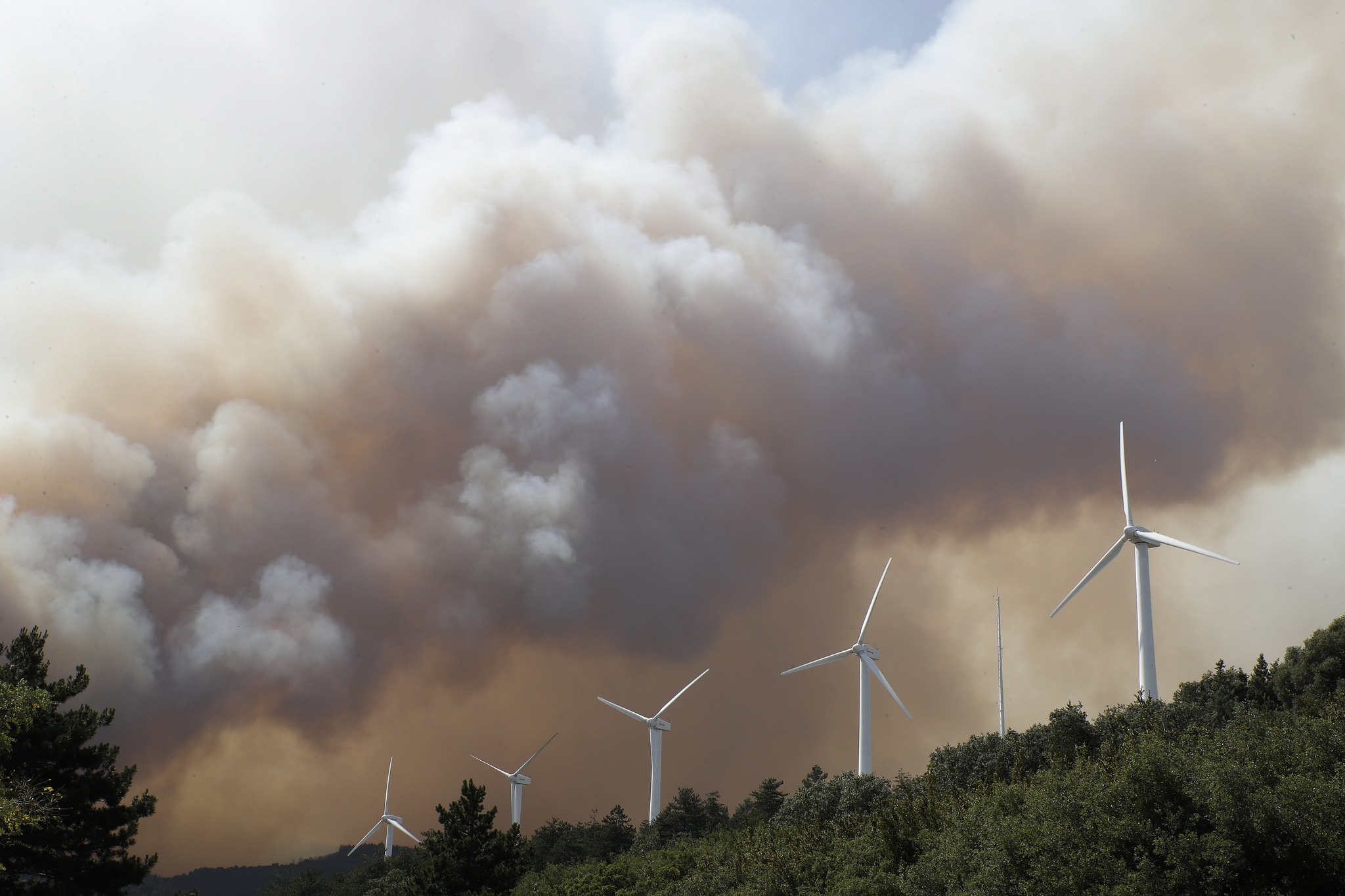 España.  El incendio de Zamora ha consumido 25.000 hectáreas y está fuera de control |  incendios