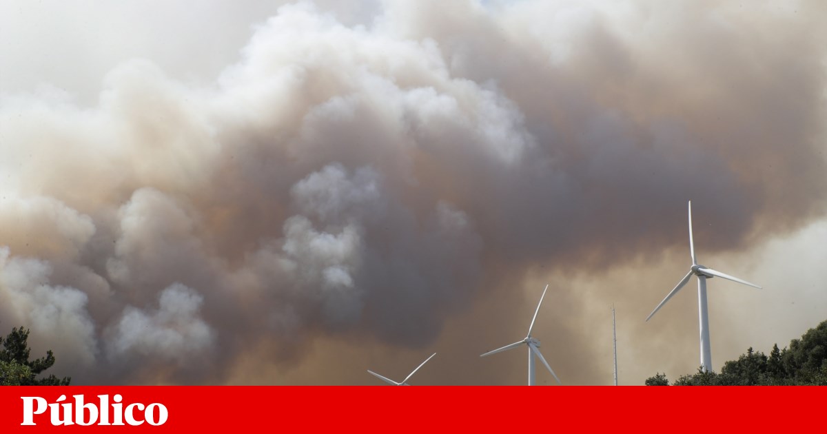 España.  El incendio de Zamora ha consumido 25.000 hectáreas y está fuera de control |  incendios