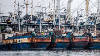 200 fishing boats were grounded because of IUU, company's license suspended. New minister of marine affairs and fisheries - Susi Pudjastuti - taking more hardine approach to fisheries law enforcement. 