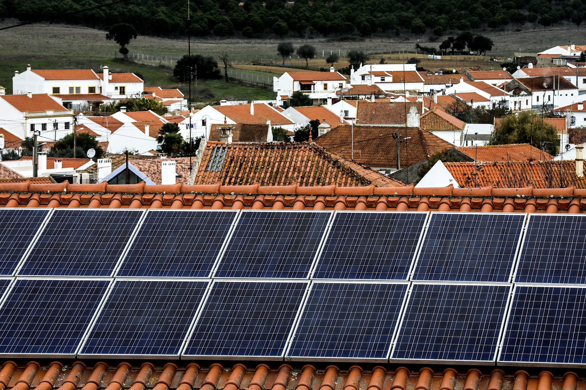 Procuram-se pessoas que queiram produzir energia a partir de painéis  fotovoltaicos (grátis) | Energia | PÚBLICO