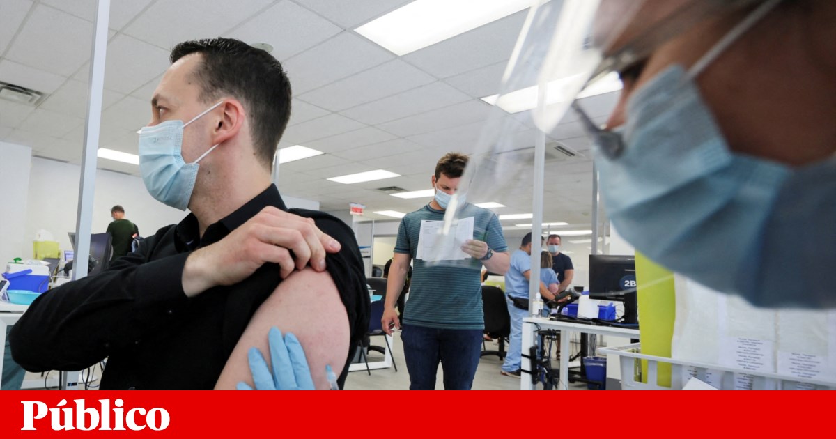 Monkeypox : Il n’y a toujours pas de date pour l’arrivée du vaccin.  Le Portugal atteint 373 infections |  variole du singe