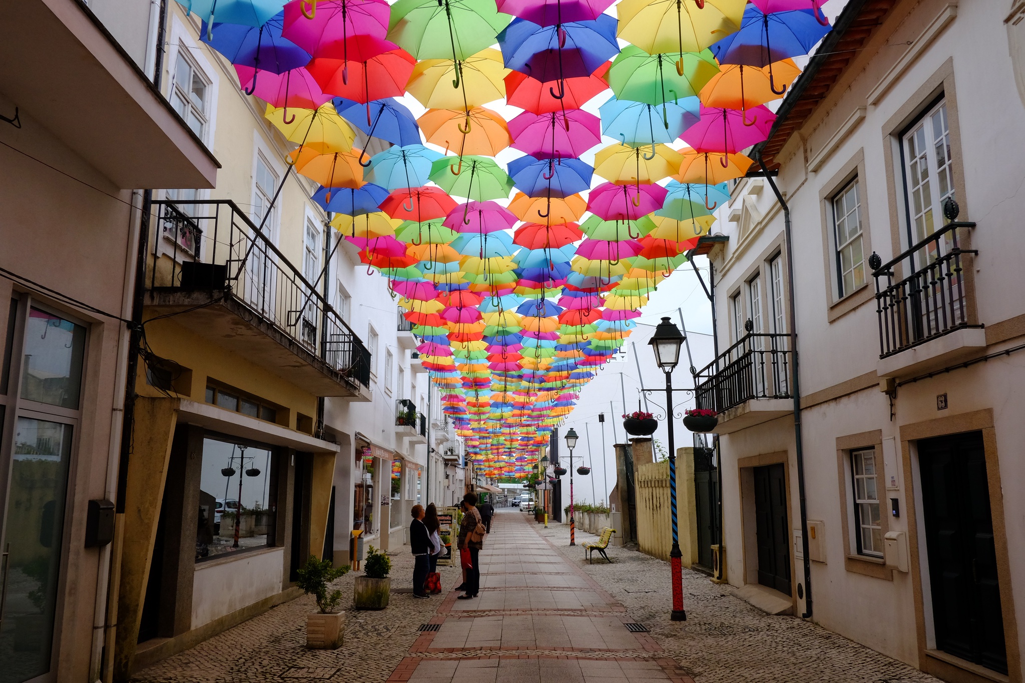 Formigas na festa, Lisbon