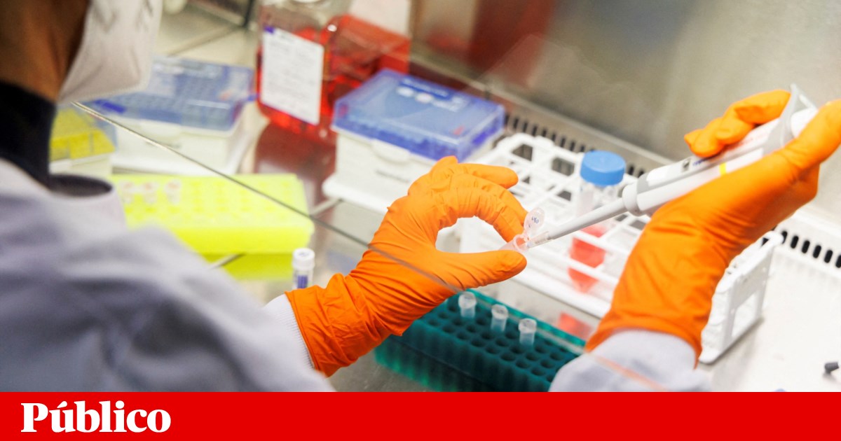 Découverte de la première infection à monkeypox féminine au Portugal |  Virus