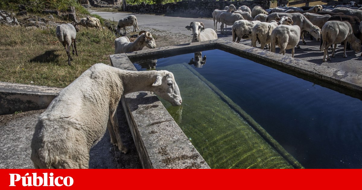 www.publico.pt