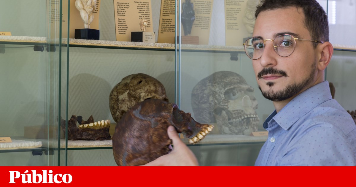 Des scientifiques de l’Université de Coimbra découvrent une surdité vieille de 100 000 ans |  Evolution humaine