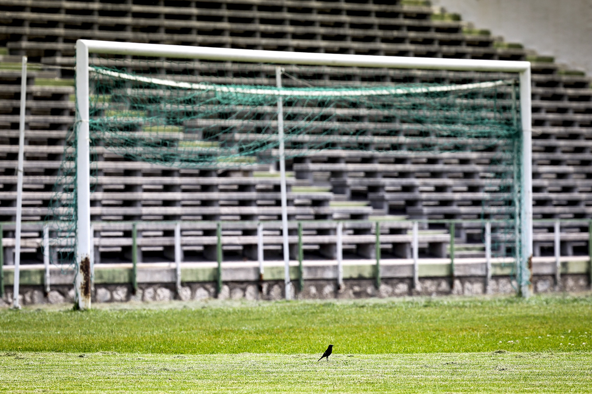 Benfica-Arouca abre em 5 de agosto a I Liga de futebol 2022/23