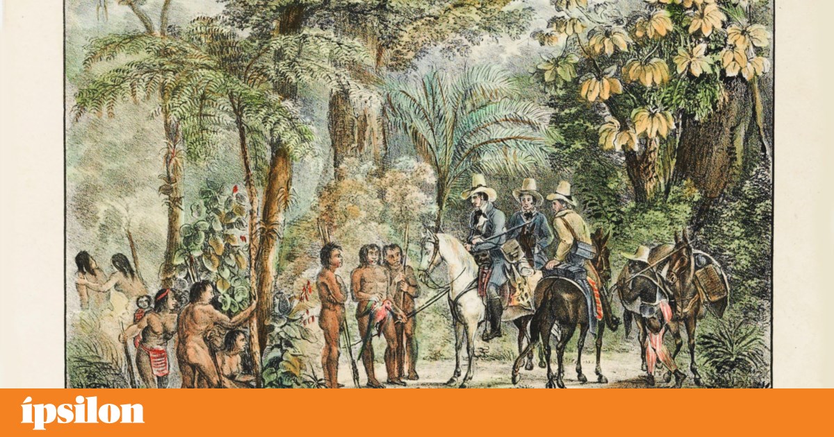 Os povos indígenas e a formação da sociedade colonial no Brasil ...