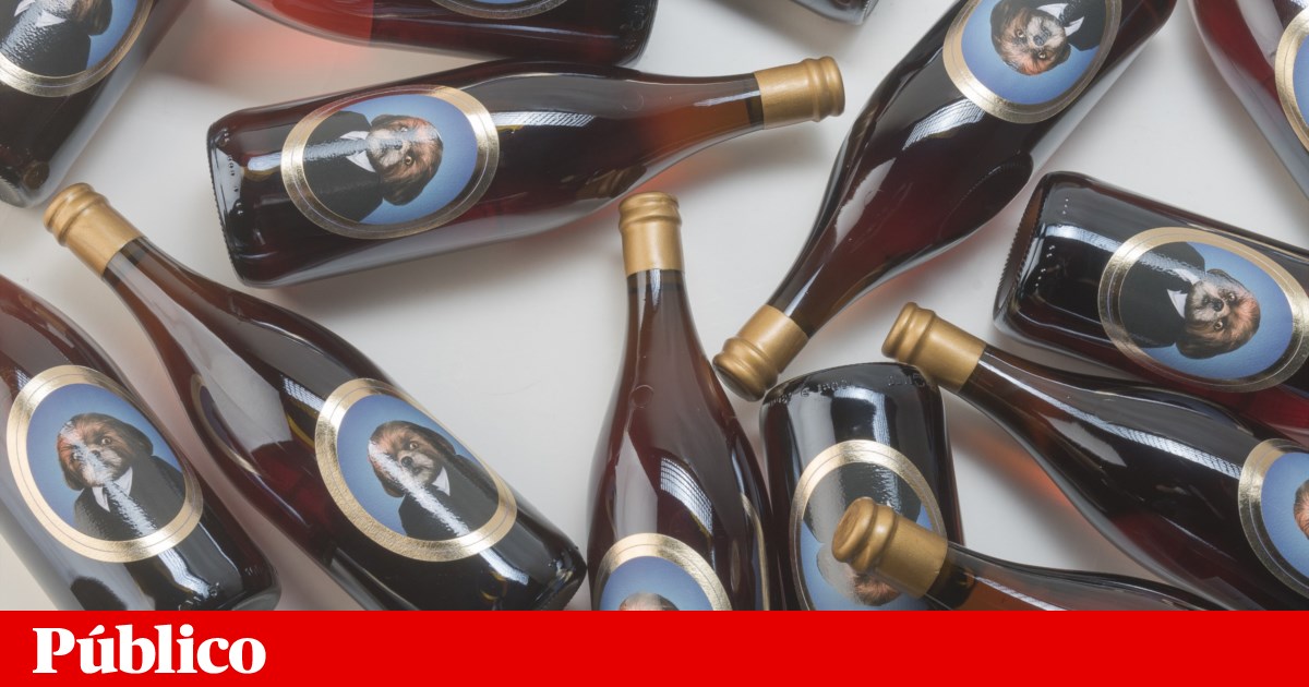 Até o Bruno Aleixo vende vinho | Crítica | PÚBLICO