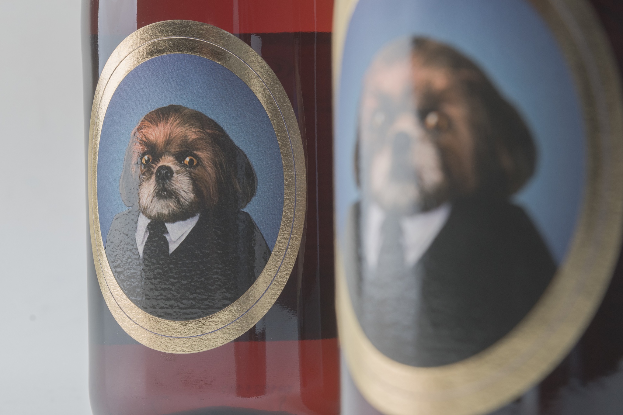 Bruno Aleixo 2021 | Bairrada | PÚBLICO