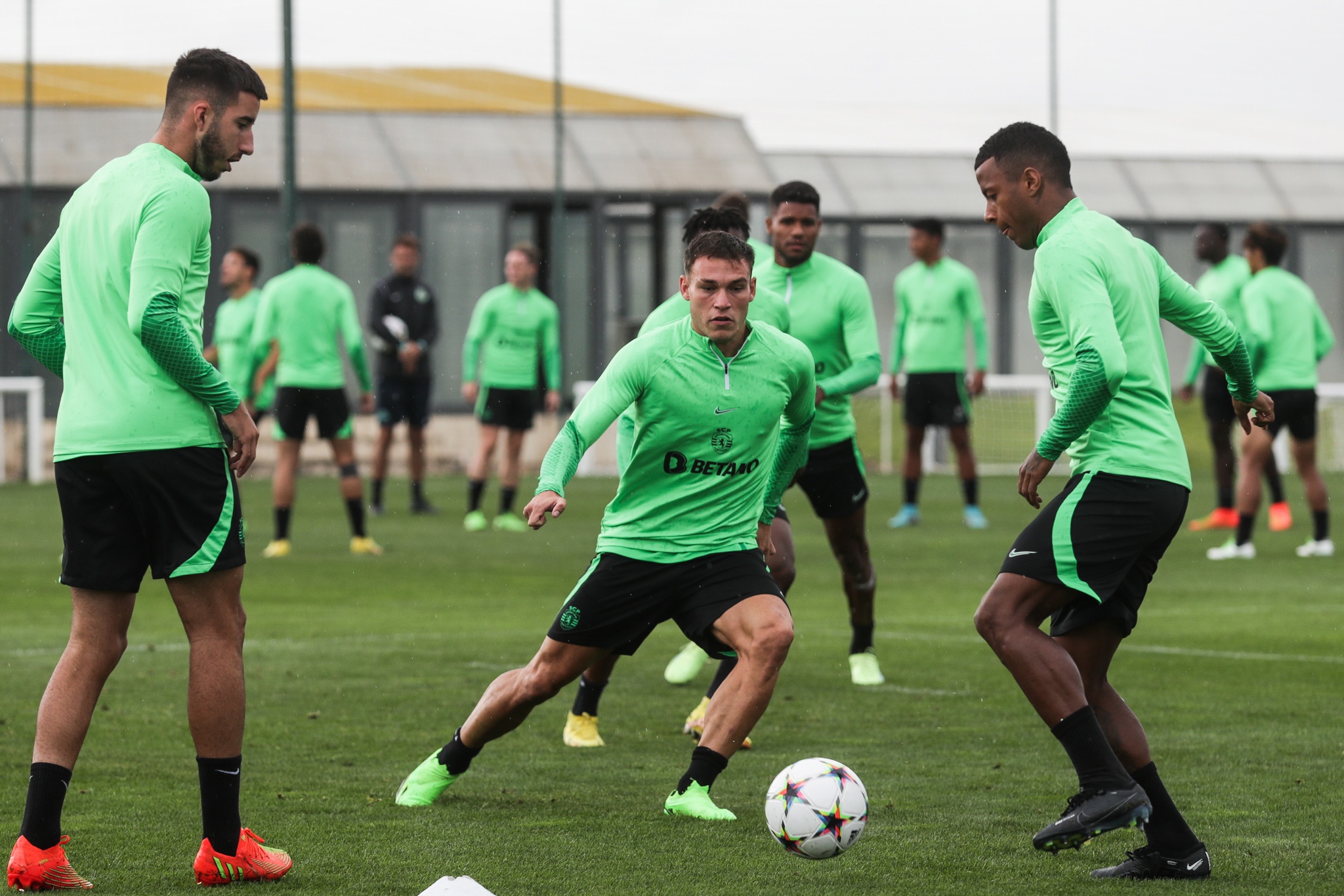 Liga dos Campeões – Antevisão do jogo Sporting - Marselha - Jornal