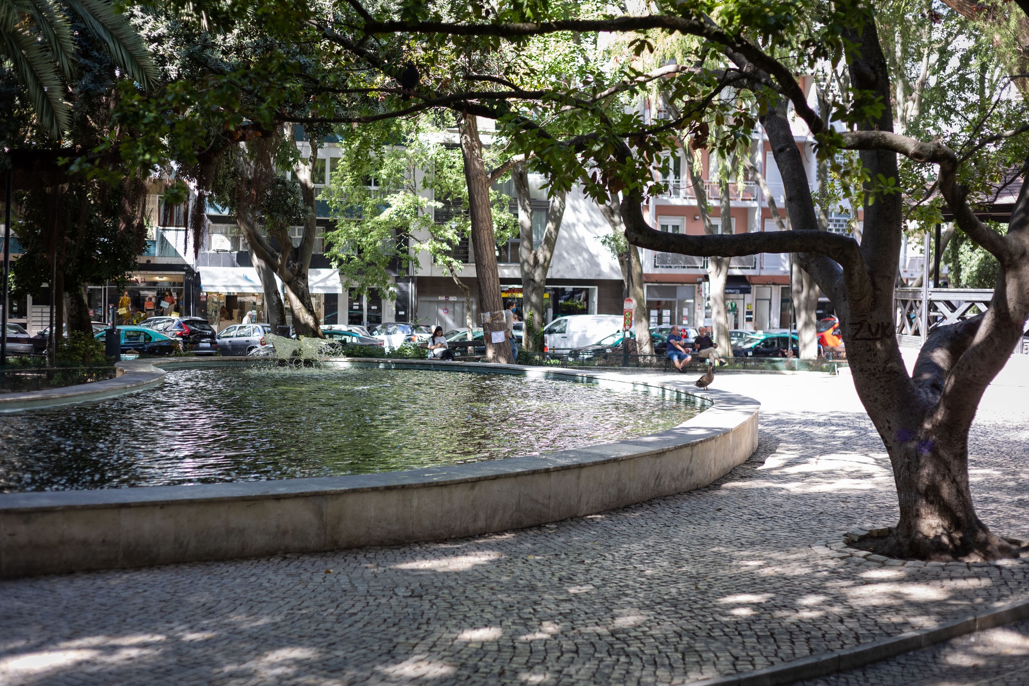 Grupo quer aproveitar impacto do metro no Jardim da Parada para o alargar