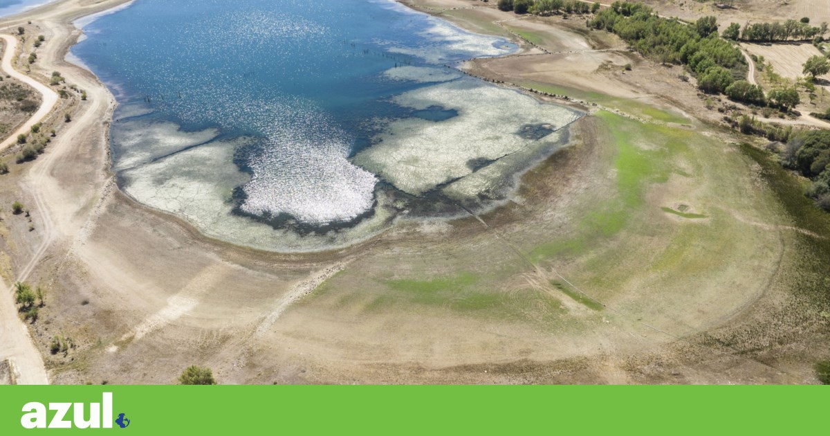 InsertLearning Share