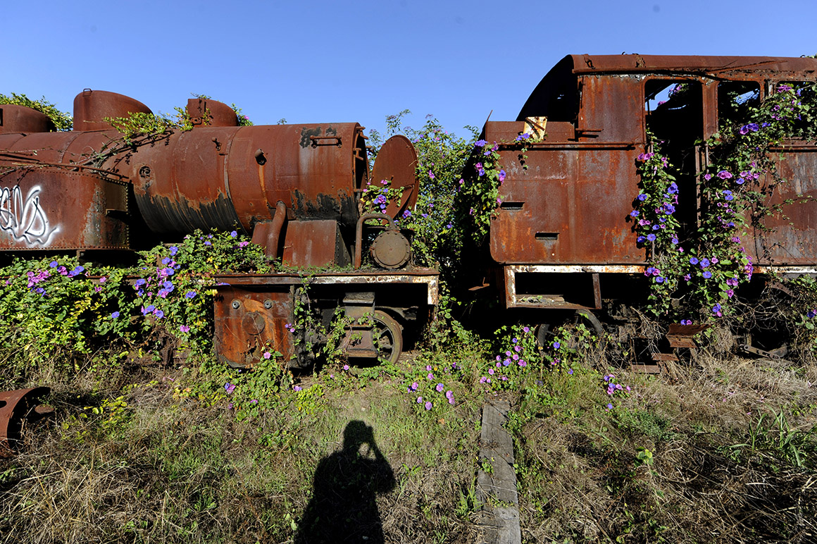 Locomotivas a vapor de Gaia: uma vai para a Guarda, as outras continuam sem destino