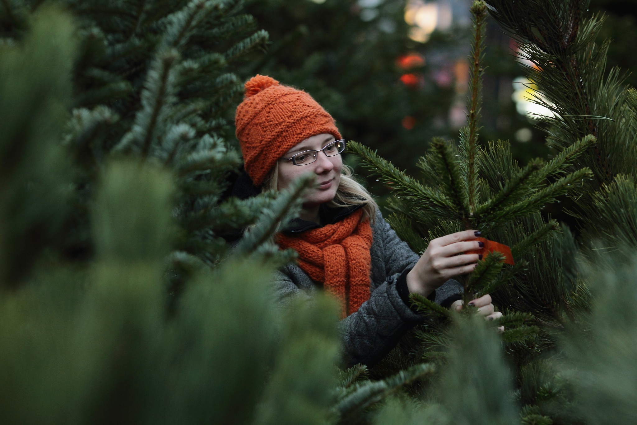 Árvore de Natal verdadeira ou artificial? Qual é a melhor escolha para o  ambiente? | Sustentabilidade | PÚBLICO
