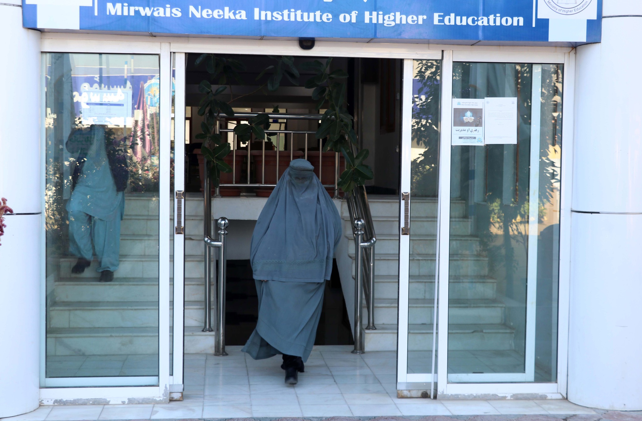 los talibanes ordenan a las ONG que prohíban a las mujeres trabajar |  Afganistán