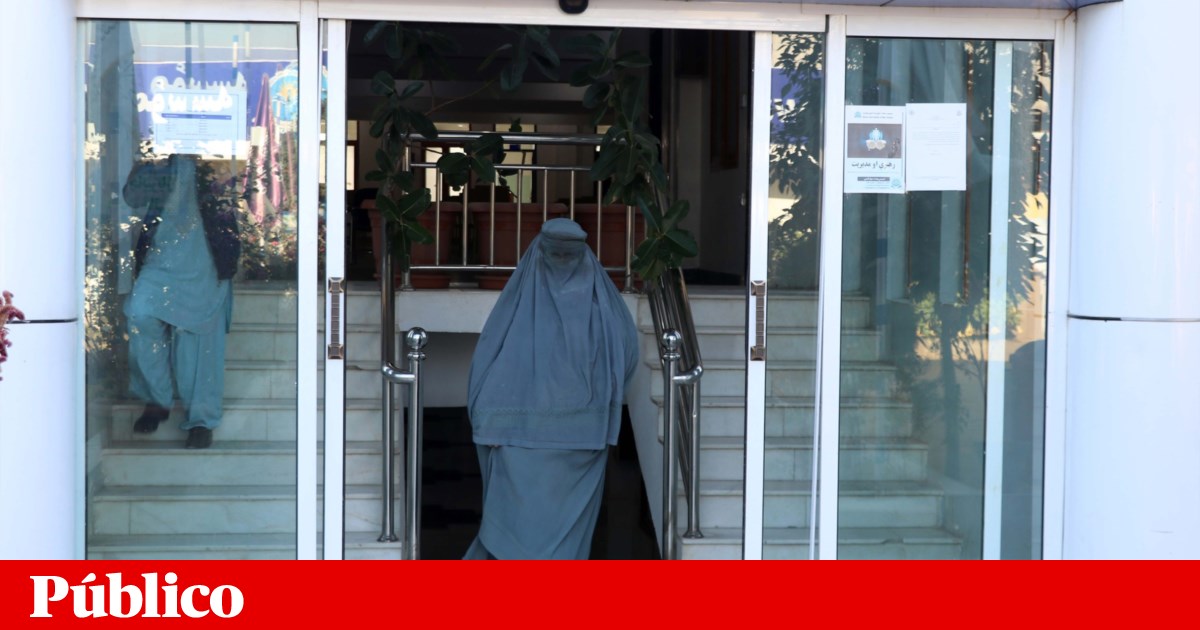 los talibanes ordenan a las ONG que prohíban a las mujeres trabajar |  Afganistán los talibanes ordenan a las ONG que prohíban a las mujeres trabajar |  Afganistán