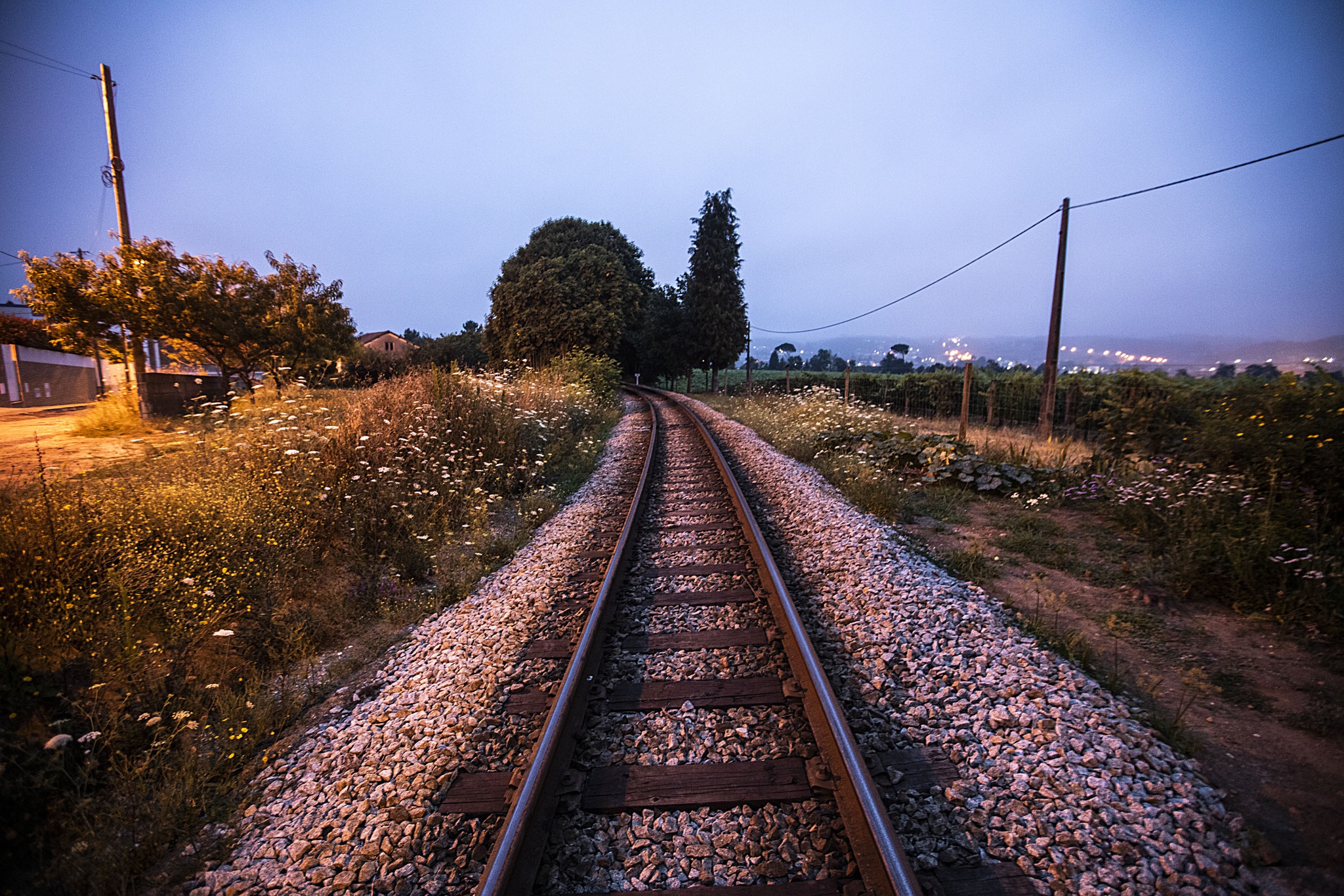 Site da CP ignora estações do Oeste, Vouga, Algarve e Beira Baixa