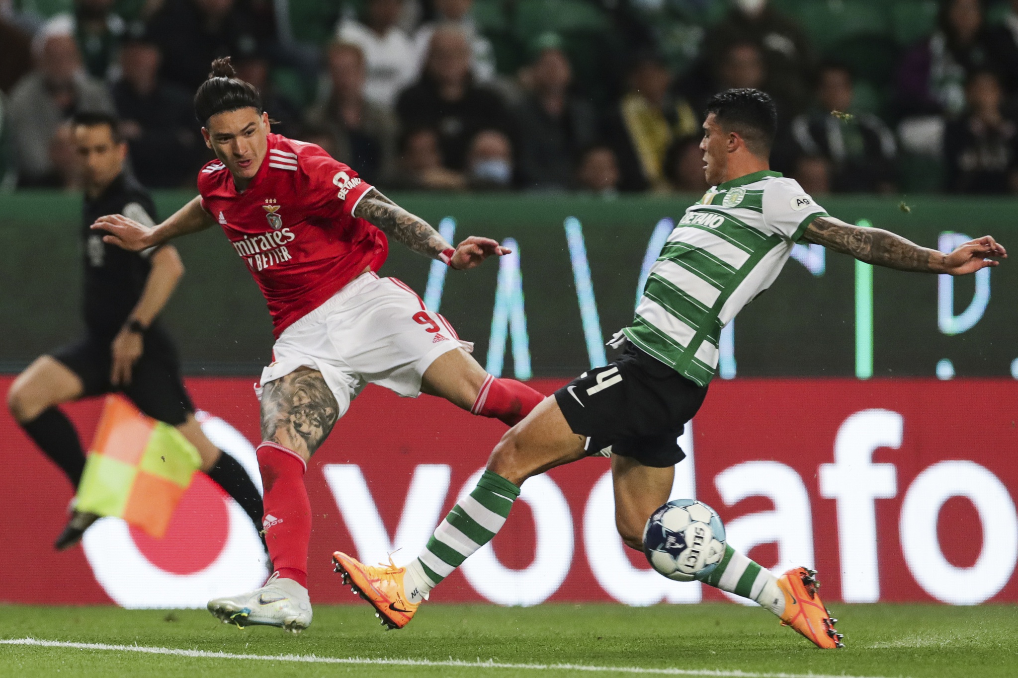 Benfica manda na casa dos leões em jogos da I Liga. Veja o histórico dos  dérbis