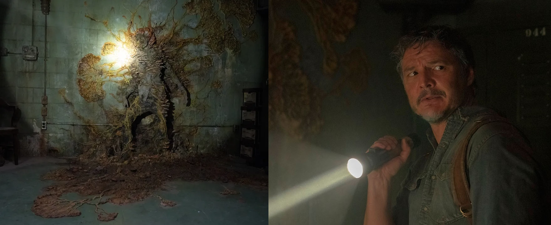 O fungo zombie de The Last of Us é real. Pode ele vir a controlar humanos?