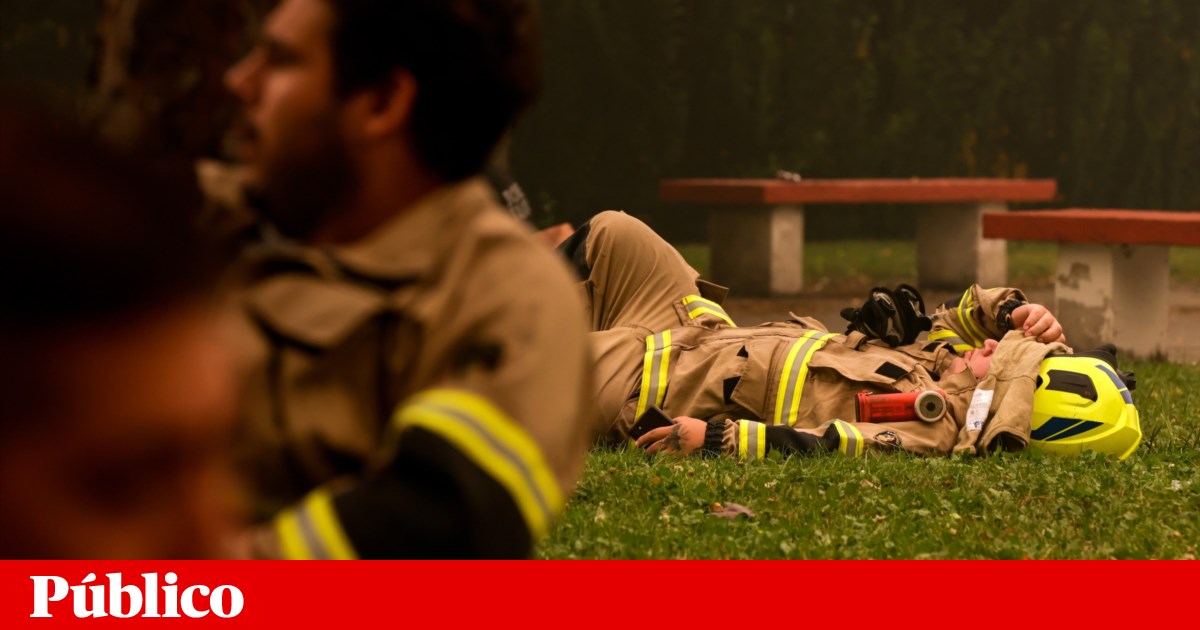 Portugal ofrece ayuda para combatir incendios en Chile que han dejado 26 muertos |  incendios forestales