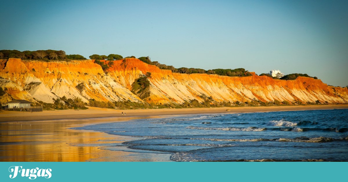 Algarve beach among six best beaches in the world, TripAdvisor highlights | beaches Algarve beach among six best beaches in the world, TripAdvisor highlights | beaches