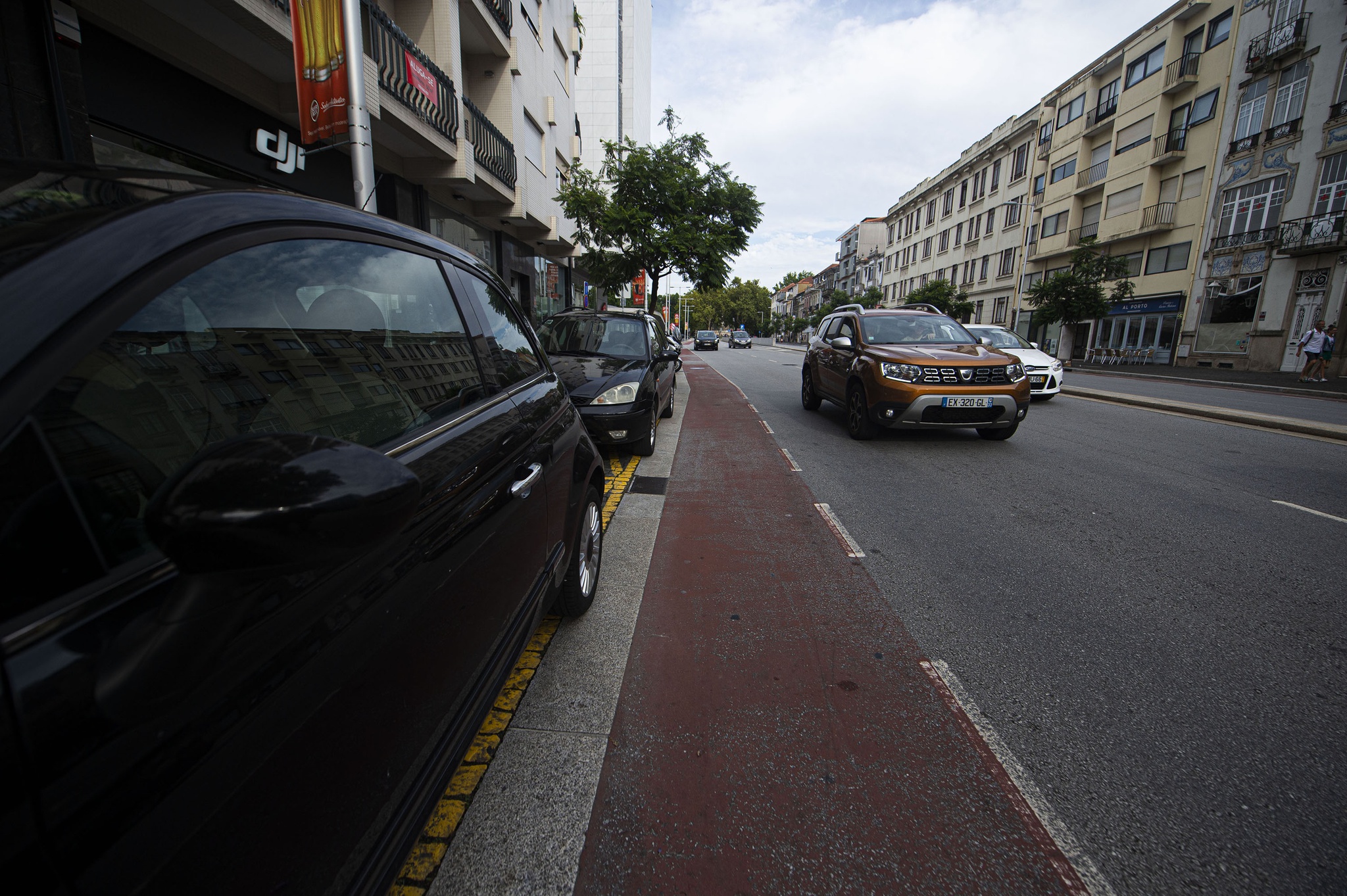 Para instalar metrobus na Avenida da Boavista, serão removidos 84 jacarandás