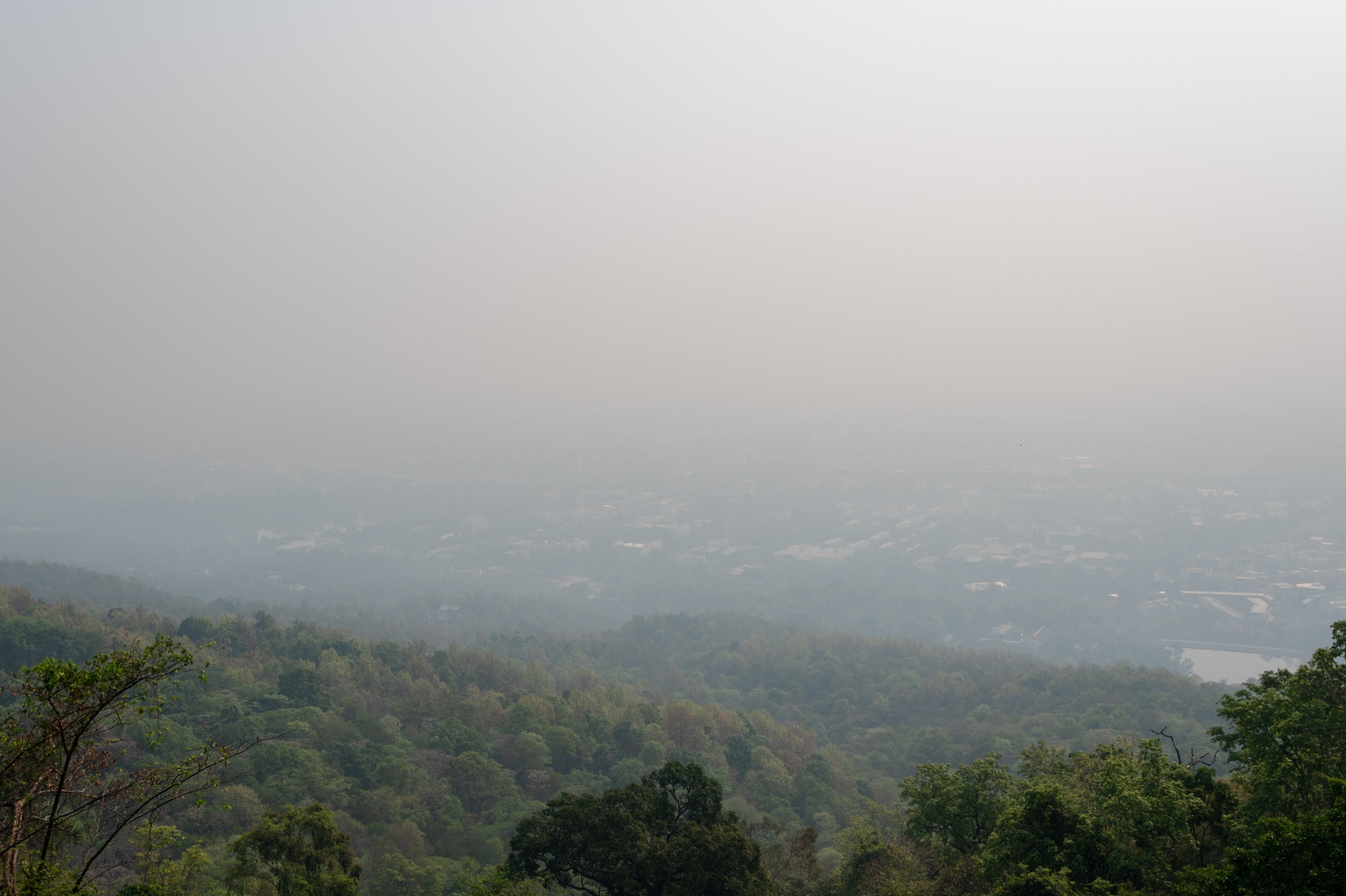 La contaminación ahoga el norte de Tailandia, daña el turismo y preocupa a la gente |  Tailandia