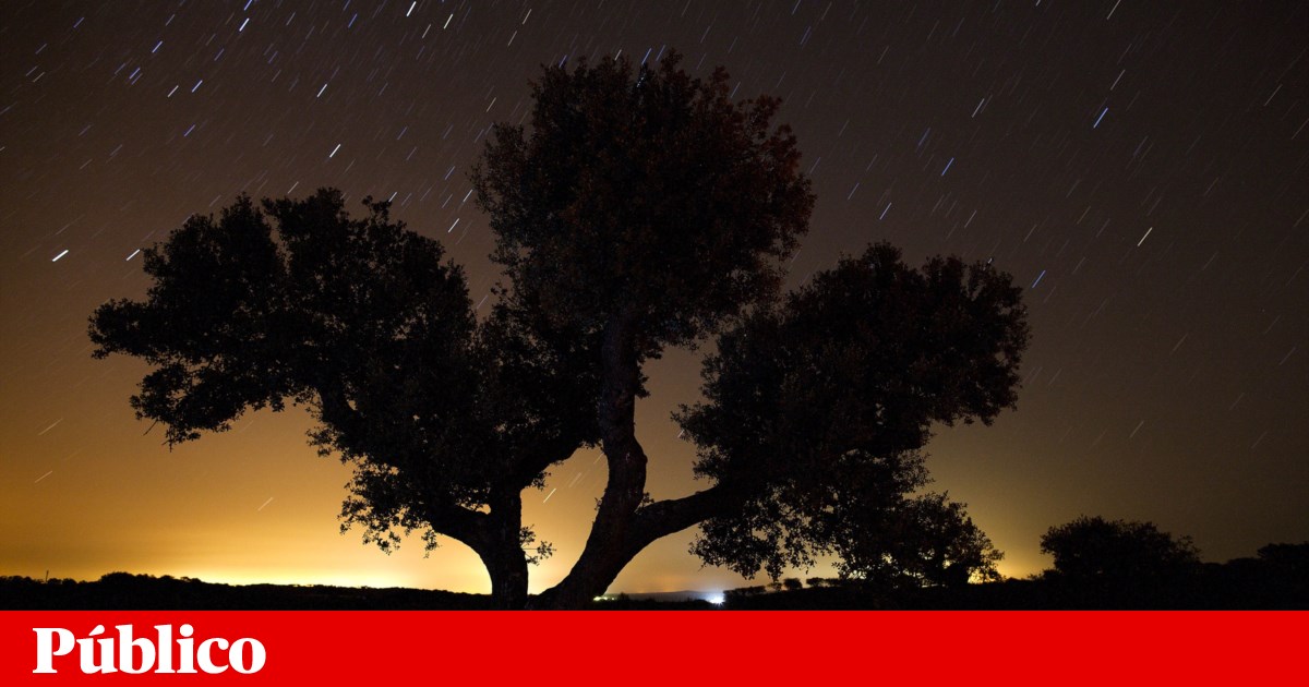 Estas noches, mira el cielo: hay una lluvia de estrellas |  Astronomía Estas noches, mira el cielo: hay una lluvia de estrellas |  Astronomía