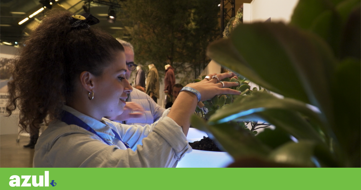 Bioo wants to build a future in which factories produce electricity and ...