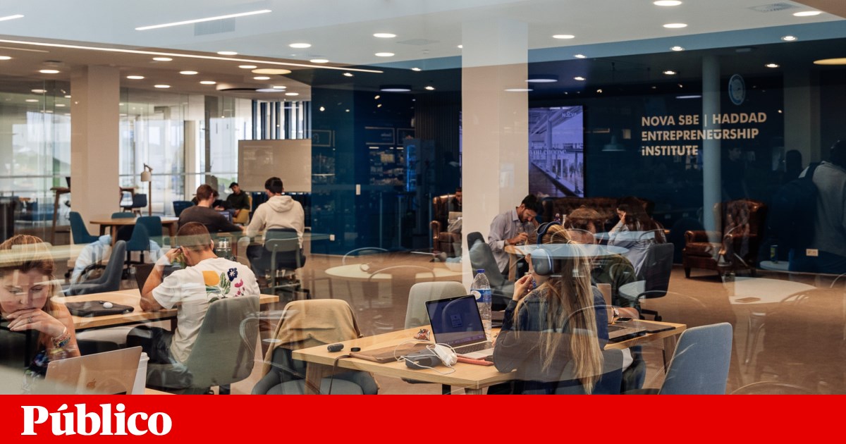 Five Portuguese business schools among the best in the world | University education Five Portuguese business schools among the best in the world | University education