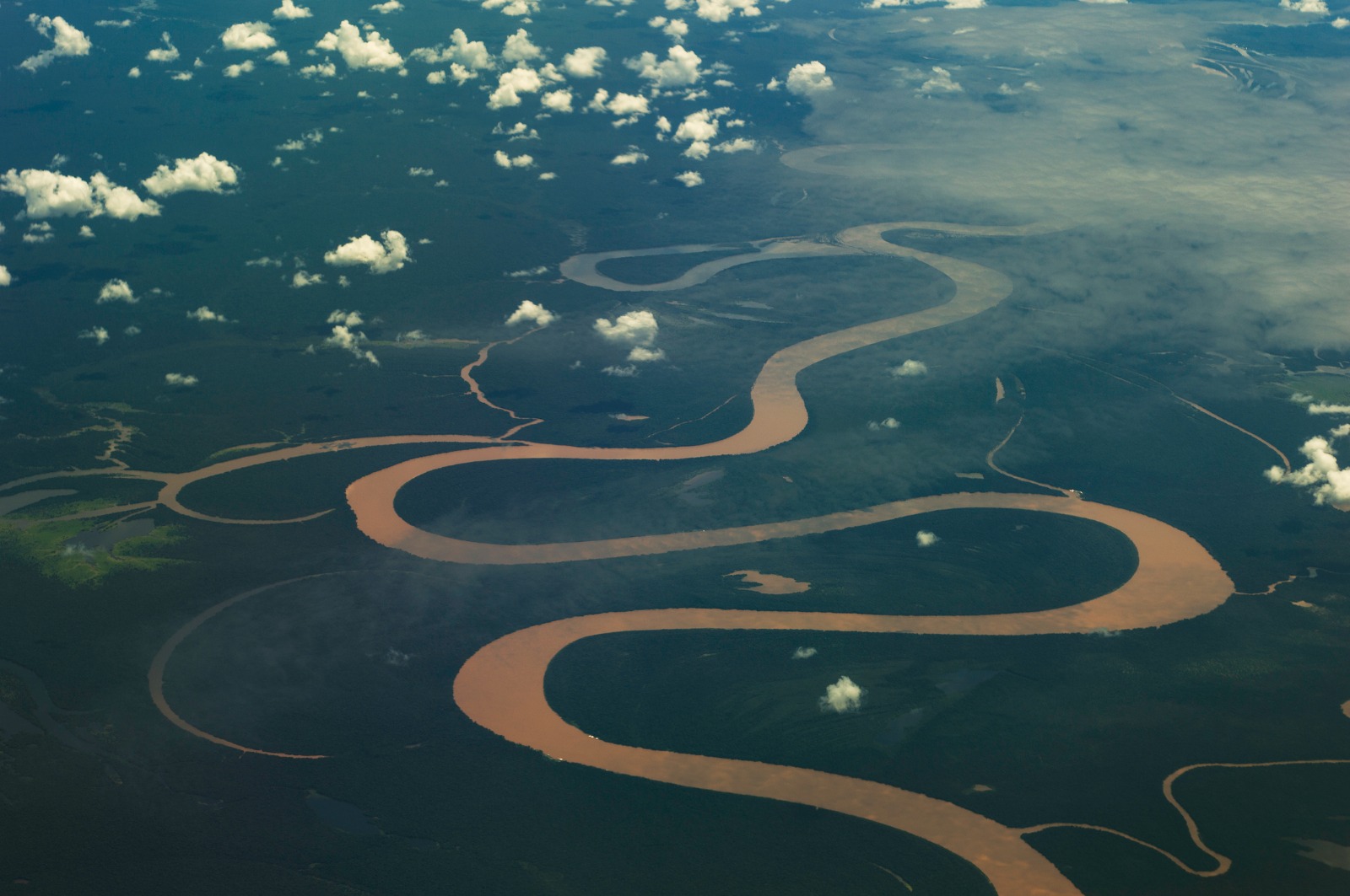 Joguinho de exploração q se passa na Amazônia q dá pra fazer