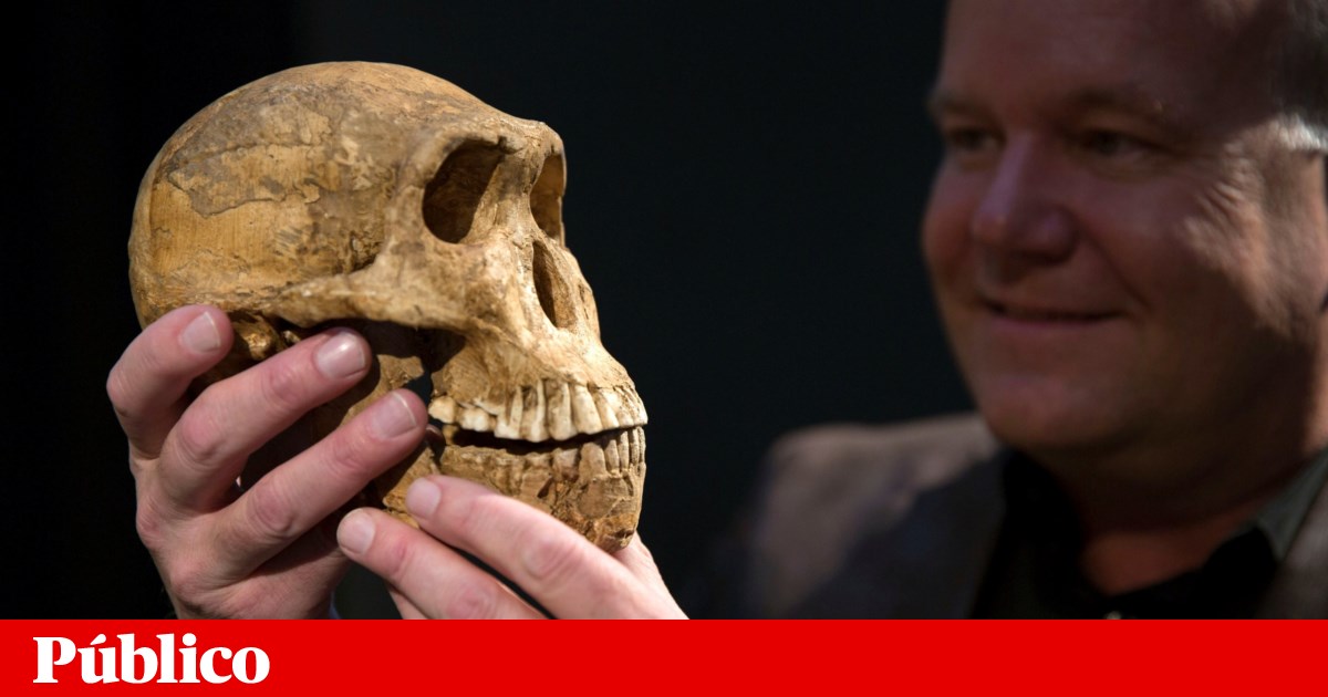 anuncian el descubrimiento de las primeras tumbas prehistóricas en Sudáfrica |  evolución humana
