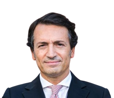 The reconfiguration of the Portuguese political system